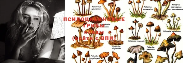 бошки Кодинск
